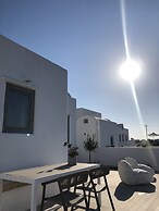 Nice Villas