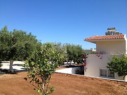 Amaryllis Front Beach Hotel