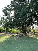 Campito Loving