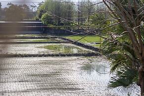 JN-garden