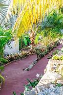 MyALL Tortola