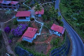 Colinas Tinamastes