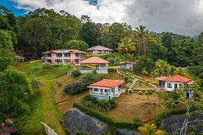 Colinas Tinamastes