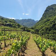 Terrabona Nature & Vineyards