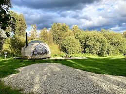 Wild Caribou Dome