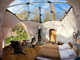 Wild Caribou Dome
