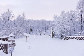 Wild Caribou Dome
