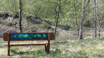 Wild Caribou Dome