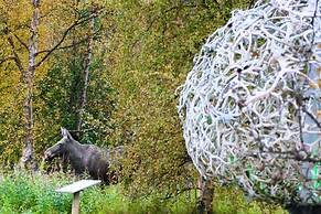 Wild Caribou Dome