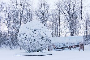 Wild Caribou Dome