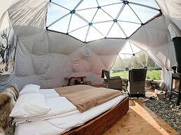 Wild Caribou Dome