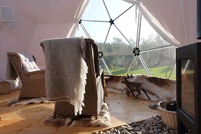 Wild Caribou Dome