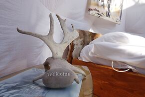 Wild Caribou Dome