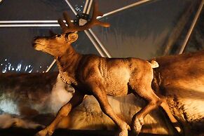 Wild Caribou Dome
