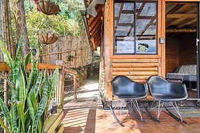 Skyline Ecoliving