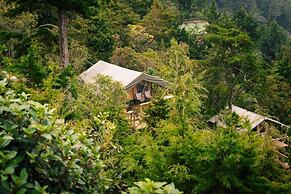 Skyline Ecoliving