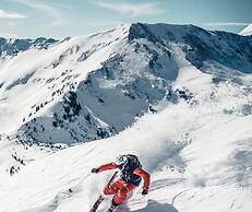 Holzboxen Planneralm