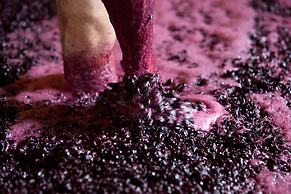 QUINTA DA FAISCA - Agro Turismo