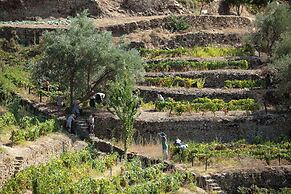 QUINTA DA FAISCA - Agro Turismo