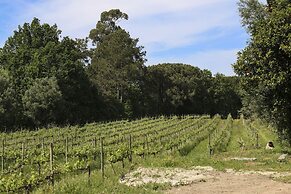 Quinta de Chousas - Braga - Agrotourism