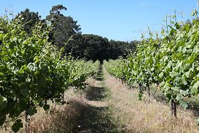 Quinta de Chousas - Braga - Agrotourism