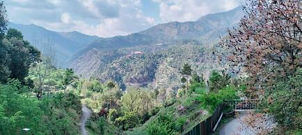 Nature Treat Resort