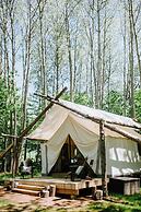 Whispering Springs Wilderness Retreat