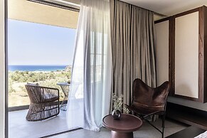 King Jason Zante – Designed for Adults