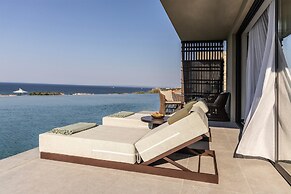 King Jason Zante – Designed for Adults