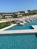 King Jason Zante – Designed for Adults