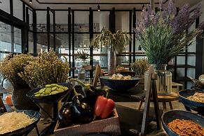 King Jason Zante – Designed for Adults
