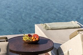King Jason Zante – Designed for Adults