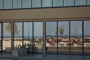 King Jason Zante – Designed for Adults