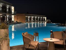 King Jason Zante – Designed for Adults