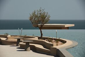 King Jason Zante – Designed for Adults