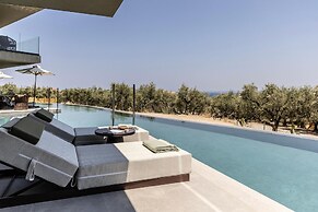 King Jason Zante – Designed for Adults