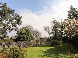 Gilfachwydd