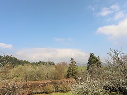 Gilfachwydd