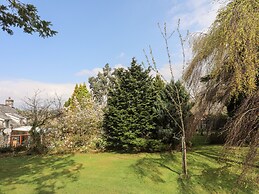 Gilfachwydd