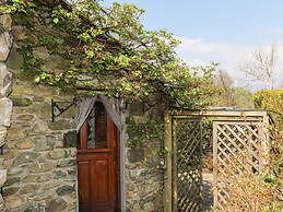 Gilfachwydd