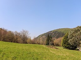 Gilfachwydd