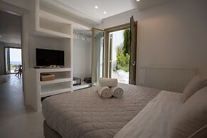 Luxury Paradise Villa Odyssey In Paros