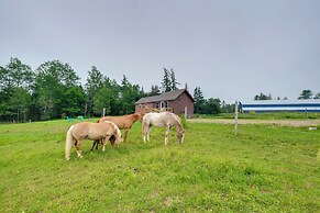 Historic Cottage on Horse Farm: Firepit & BBQ
