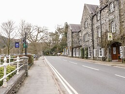 Bron Celyn Bach