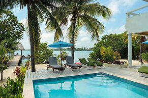 Villa Island Time Gecko