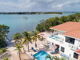 Villa Island Time Gecko