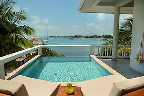 Villa Island Time Gecko