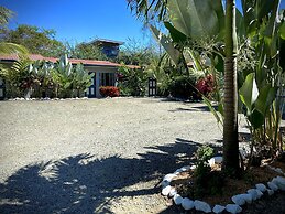 Rooms & Pool Macaws