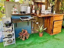Rooms & Pool Macaws