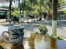 Rooms & Pool Macaws
